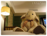 A Posing Lamb