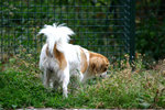 img_0667a