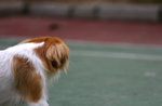img_0677a