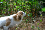 img_0686a