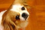 img_4891a