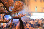IMG_9631 copy
