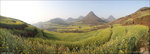 pano1 copy