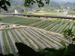 DSC03900