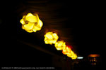 050813_lca_0008s