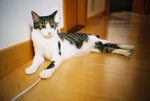 050820_lomo_0024