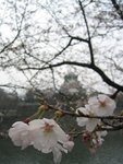 �ۤ� 056 �ƻs