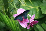 IMG_5676