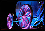 IMG_2556b
