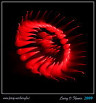 IMG_3031b