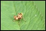 IMG_7783b