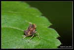 IMG_7820b