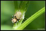 IMG_7836b