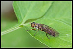 IMG_7839b