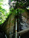 IMG_4892A