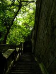 IMG_4893A
