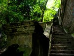 IMG_4894A