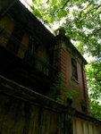IMG_4896A