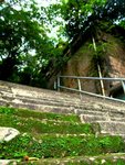 IMG_4933A