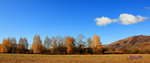 DPP_SCN0085