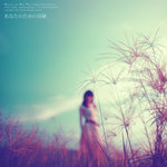michelle 1112100r