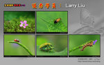 loting190903-larry