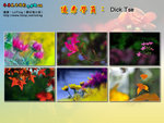 T01-01Dick Tse