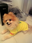 Brasil babe*