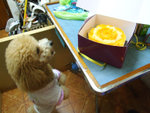 DSCF0428