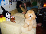 DSCF9079