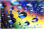 _DSC0311