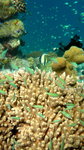 P1010290