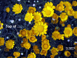 P3080139i