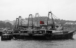 DSC02352