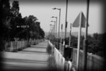 DSC_0750i