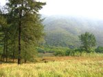 IMG_9216i