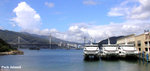 P7010002i