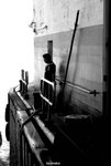 DSC_0615i