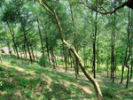 DSC00270i