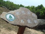 DSC00295i