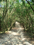DSC00305i