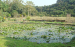 DSC00330i