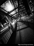 P9031174