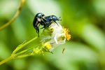 1-DSC_5841