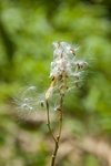 1-DSC_5878