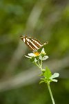 1-DSC_5895