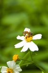 1-DSC_5938