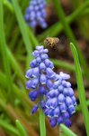 1-DSC_3846
