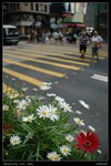 �x�������I��