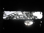 IMG_5220